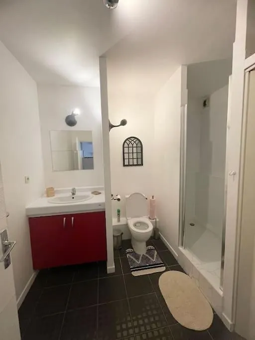 Toulouse Grand T2 Pont Des Demoiselles Apartment France